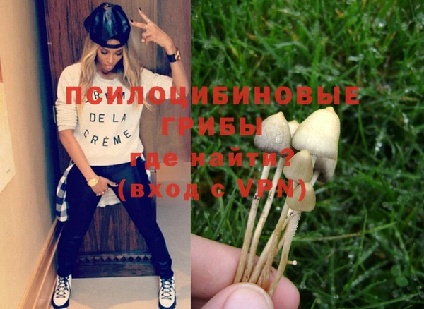 прущая мука Алзамай