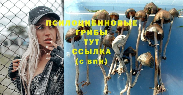 прущая мука Алзамай