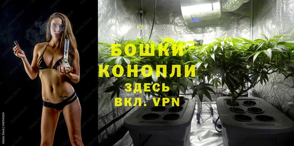 ALPHA-PVP Алексеевка