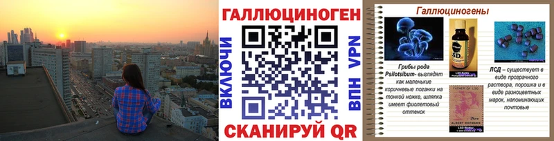мега маркетплейс  магазин продажи наркотиков  Сосновоборск  Галлюциногенные грибы Psilocybine cubensis 